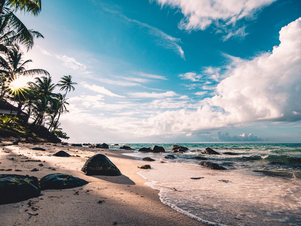 Image of a beach with palm trees, the sea and a sky with large white clouds.